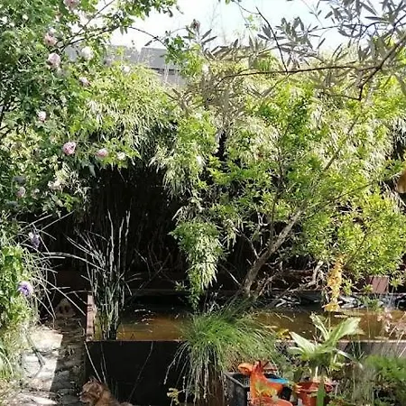 Boutique And Wellness La Casa Dei 5 Elementi Giubiasco